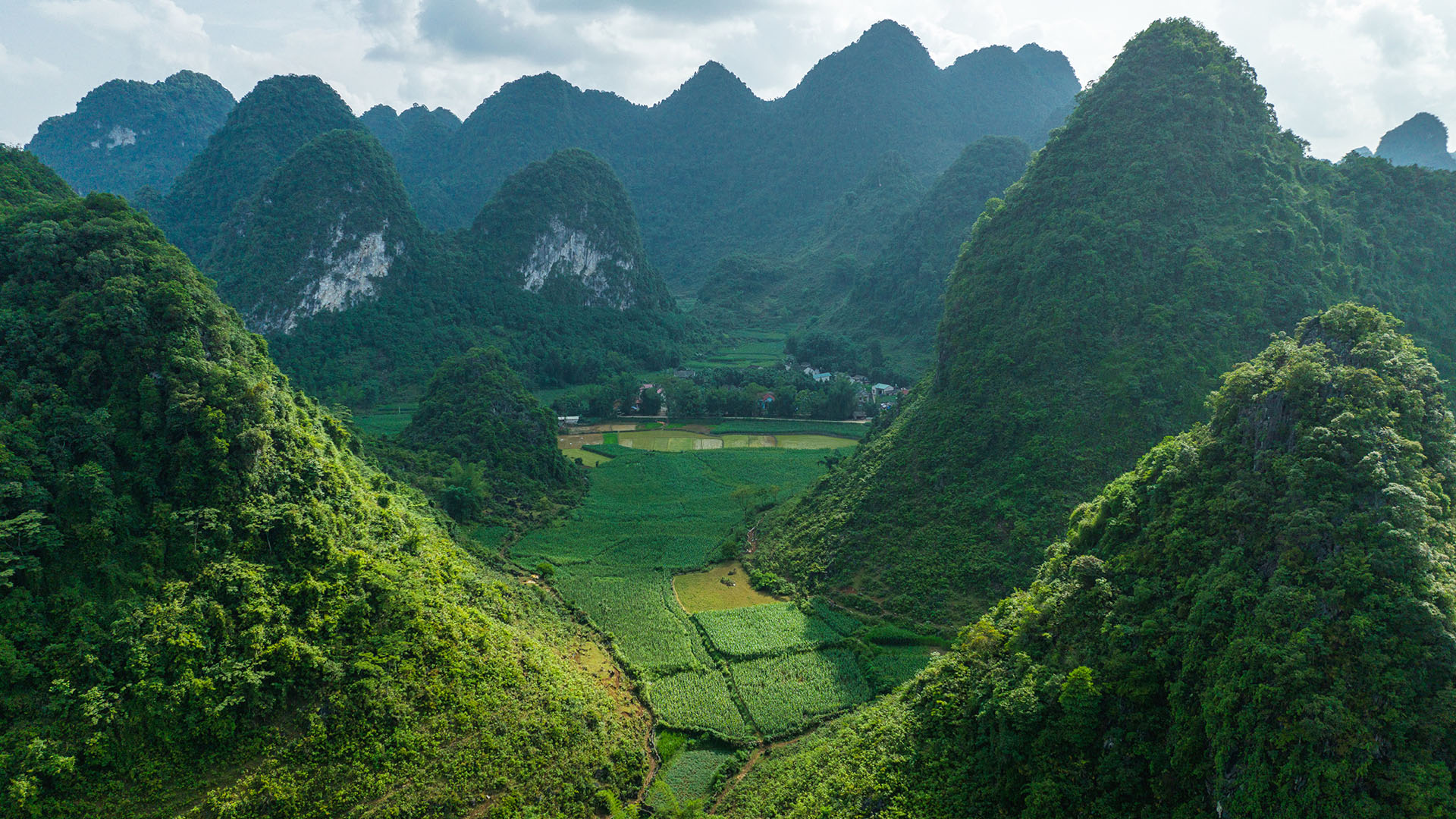 Vietnam